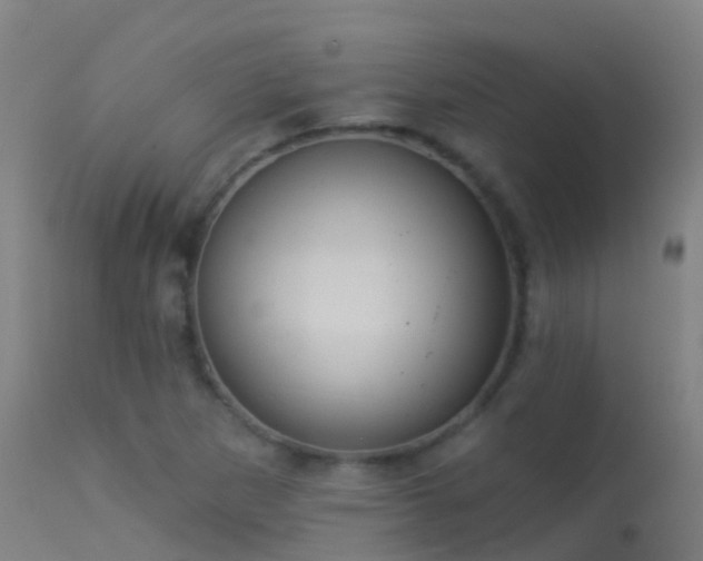 X0000114181265200910151652