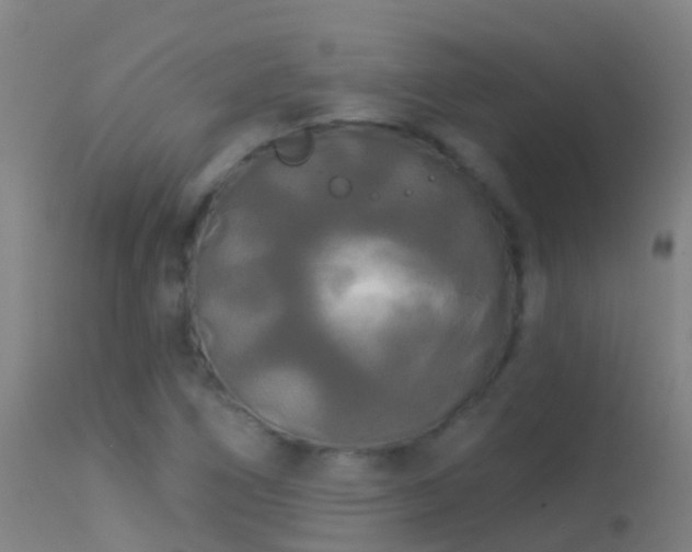 X0000114181266200910151652