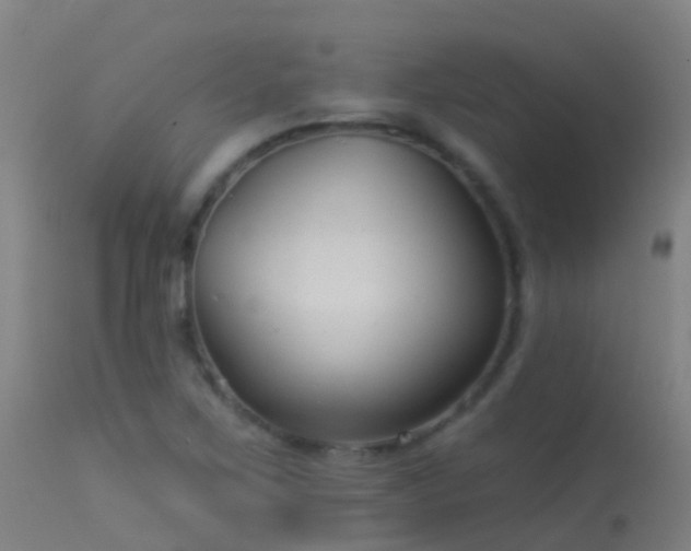 X0000114181267200910151652