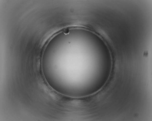 X0000114181268200910151652