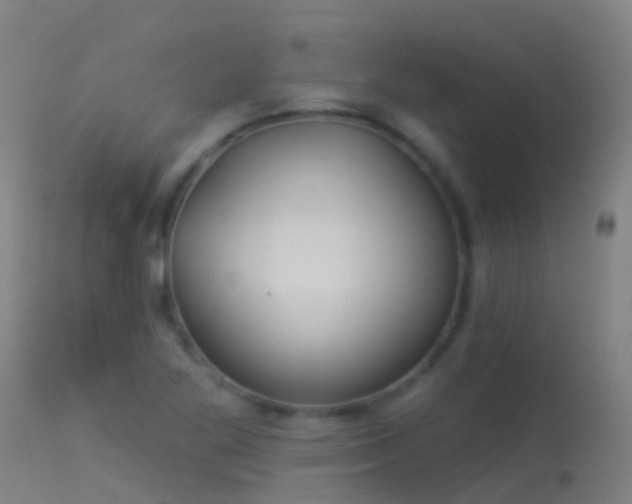 X0000114181269200910151652