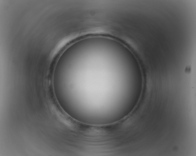 X0000114181270200910151652