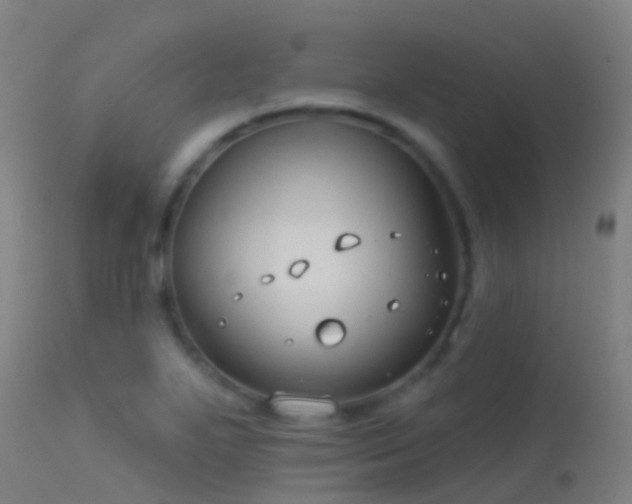X0000114181271200910151652