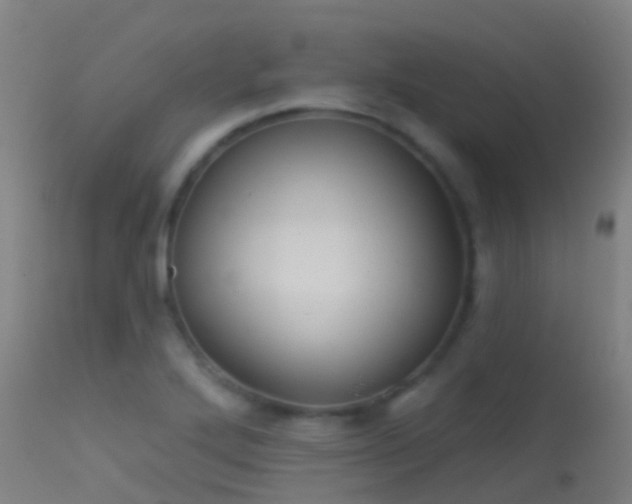 X0000114181272200910151652