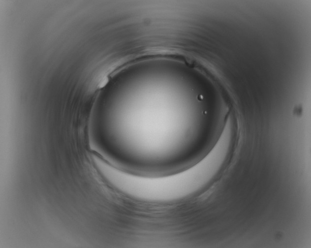 X0000114181273200910151652