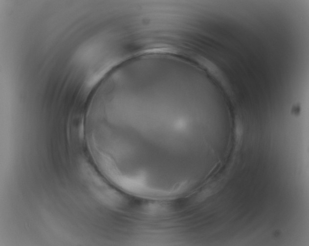 X0000114181274200910151652