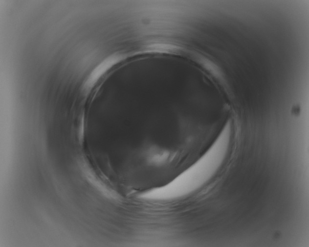 X0000114181275200910151652