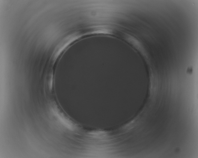 X0000114181276200910151652