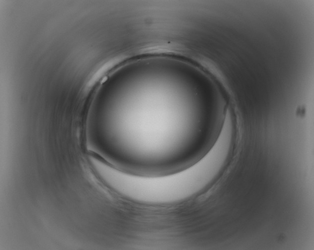 X0000114181277200910151652