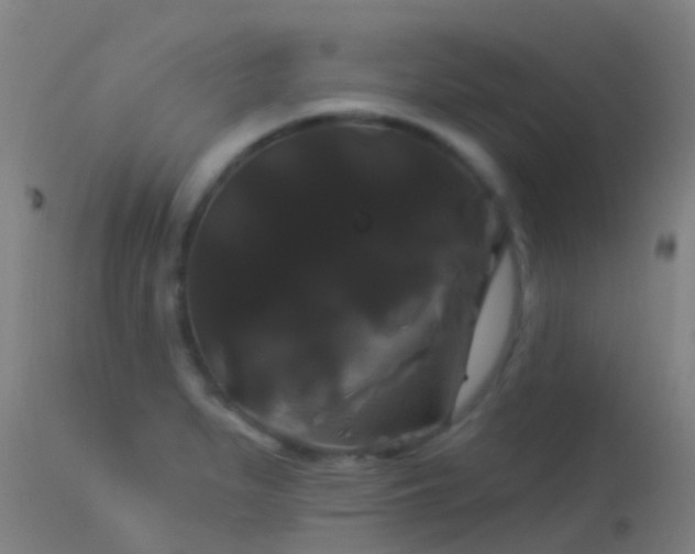 X0000114181279200910151652