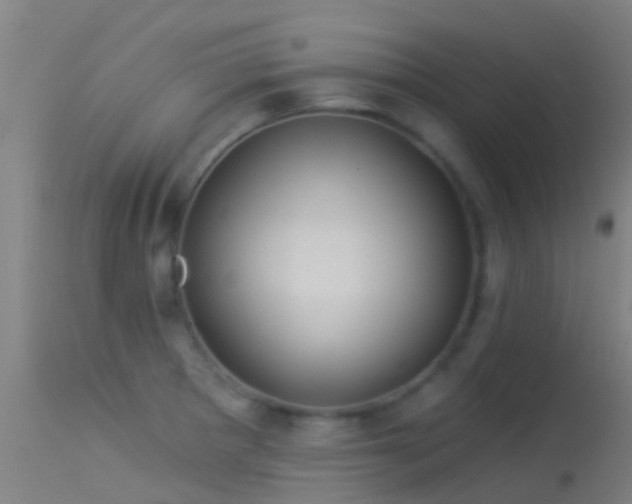 X0000114181281200910151652