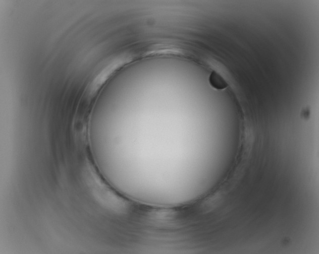 X0000114181282200910151652