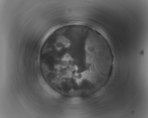 X0000114181283200910151652