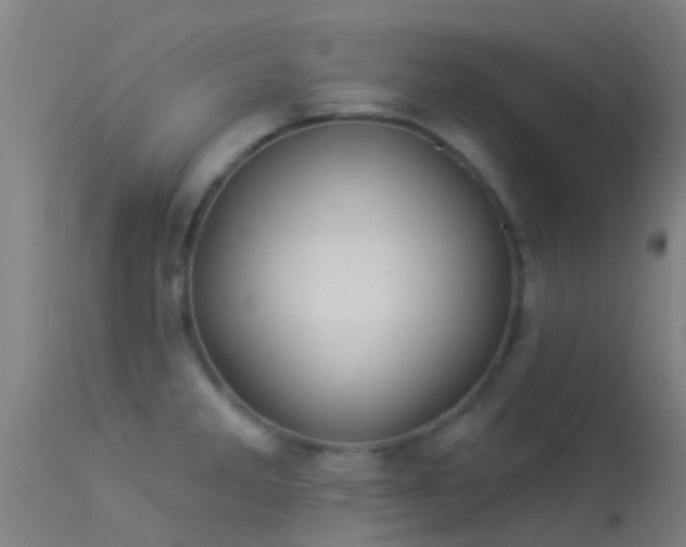 X0000114181285200910151652