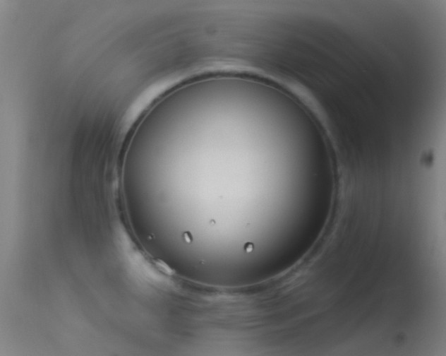 X0000114181287200910151652