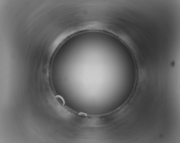 X0000114181288200910151652