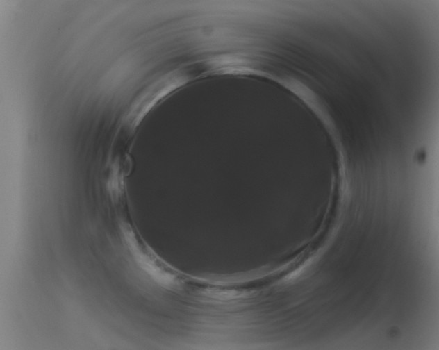 X0000114181289200910151652
