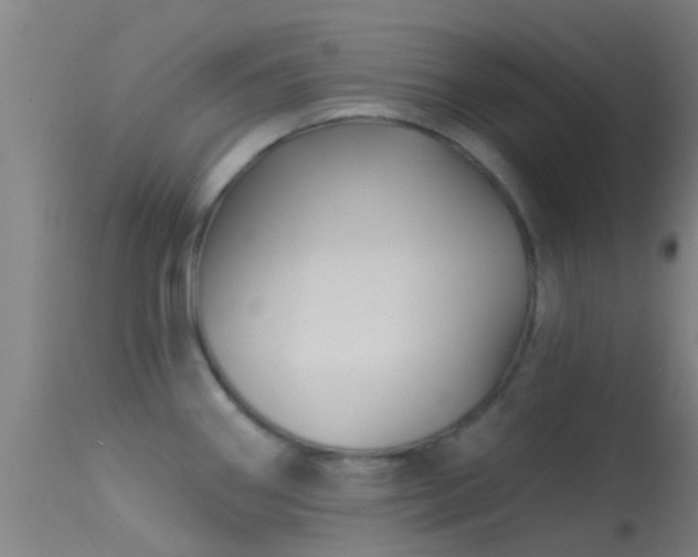X0000114181290200910151652