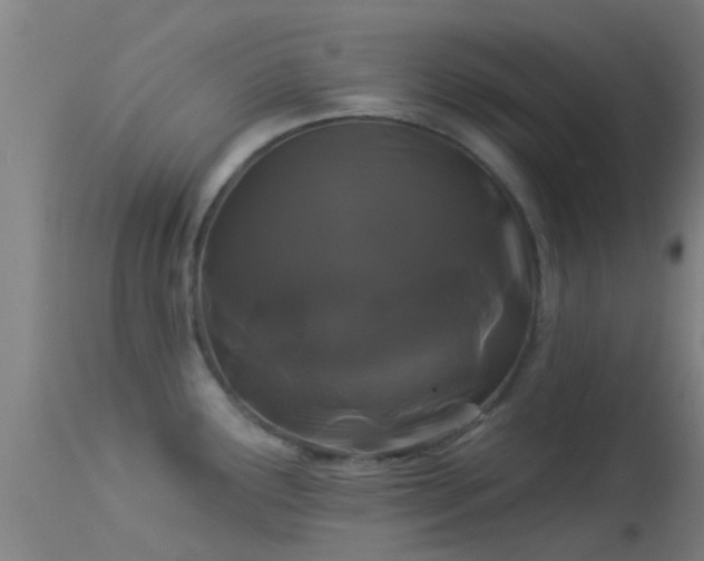 X0000114181291200910151652