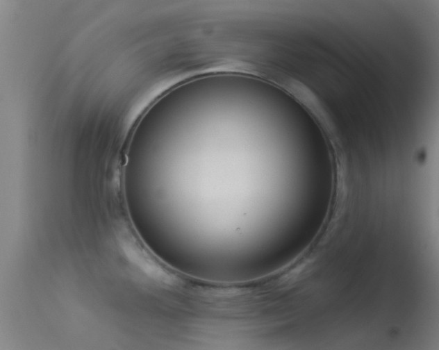 X0000114181292200910151652