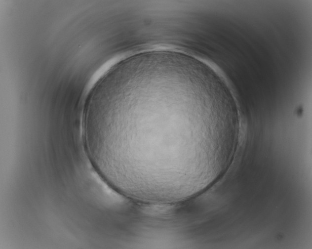 X0000114181294200910151651