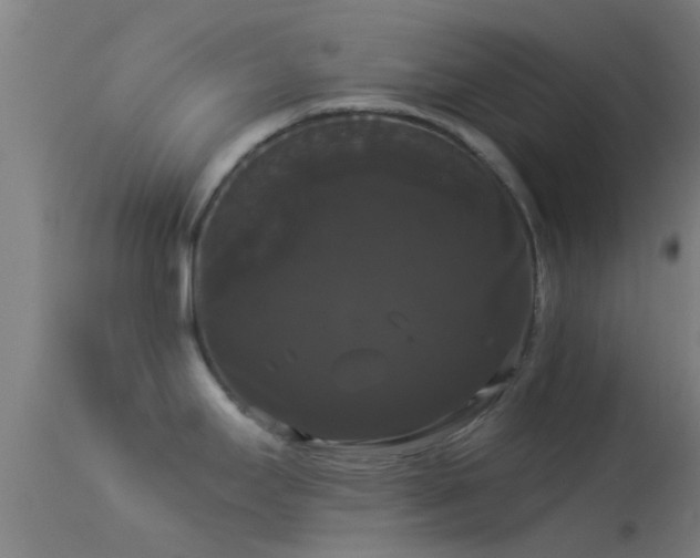 X0000114181295200910151651