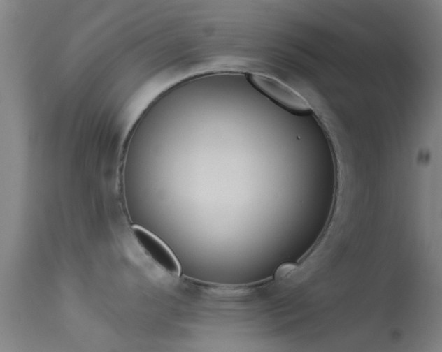 X0000114181296200910151651