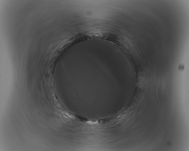 X0000114181297200910151651