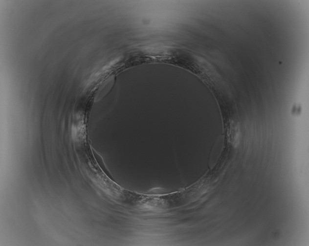 X0000114181298200910151651