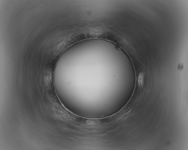 X0000114181299200910151651