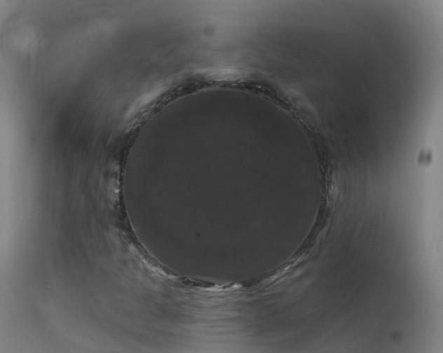 X0000114181301200910151651