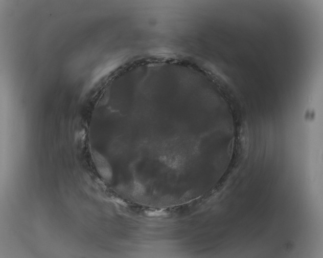 X0000114181302200910151651
