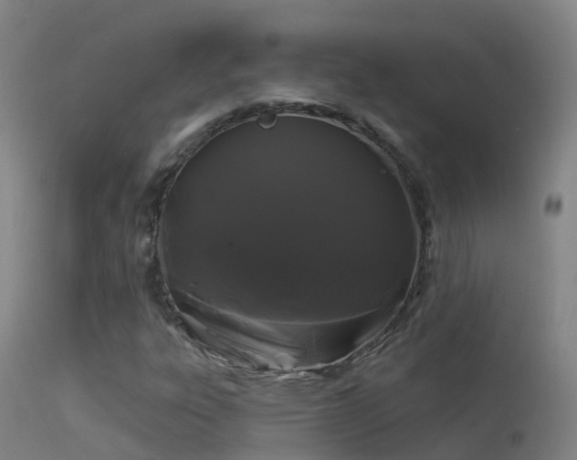X0000114181303200910151651