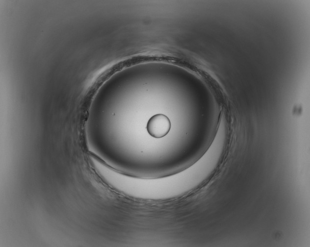 X0000114181304200910151651