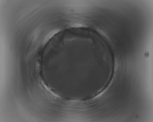 X0000114181305200910151651