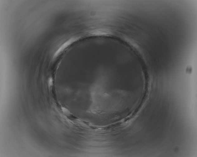 X0000114181306200910151651