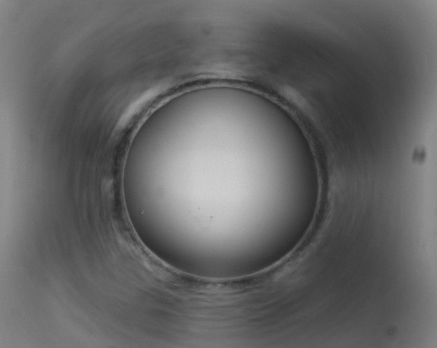 X0000114181307200910151651