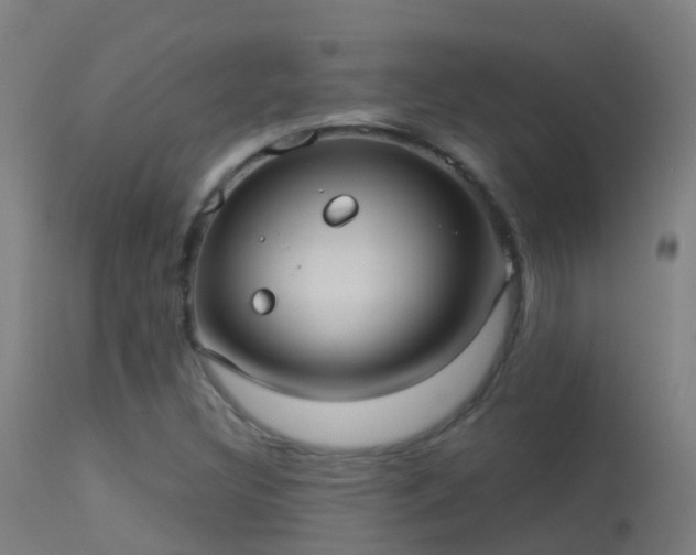 X0000114181308200910151651