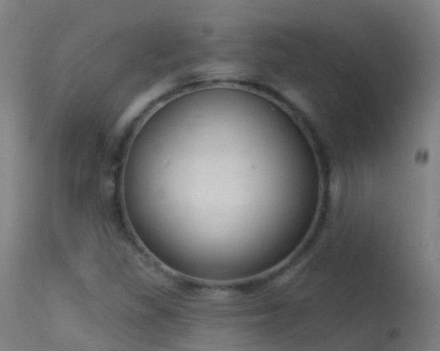 X0000114181309200910151651