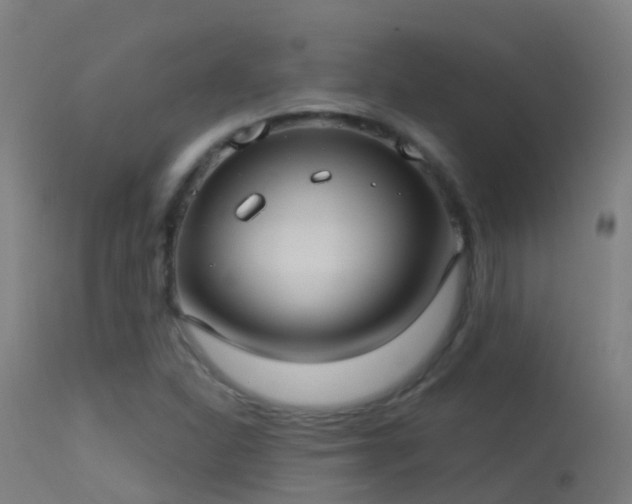 X0000114181310200910151651