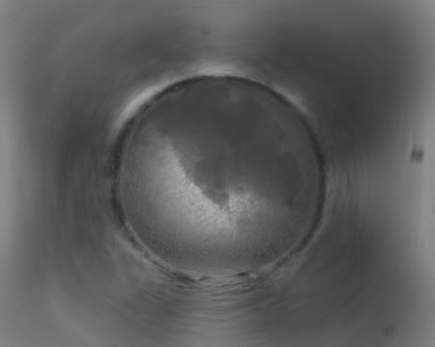 X0000114181311200910151651