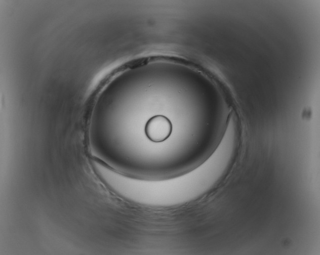 X0000114181312200910151651