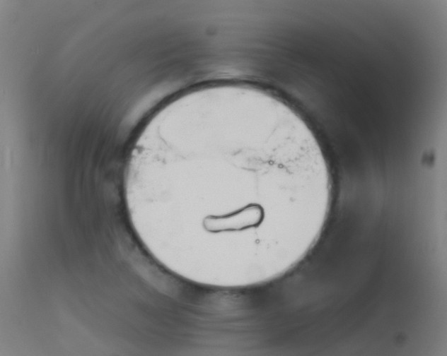 X0000114181314200910151651