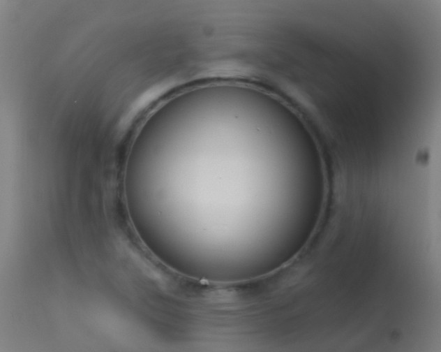 X0000114181315200910151651