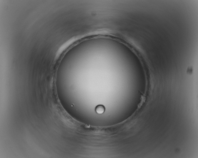 X0000114181316200910151651