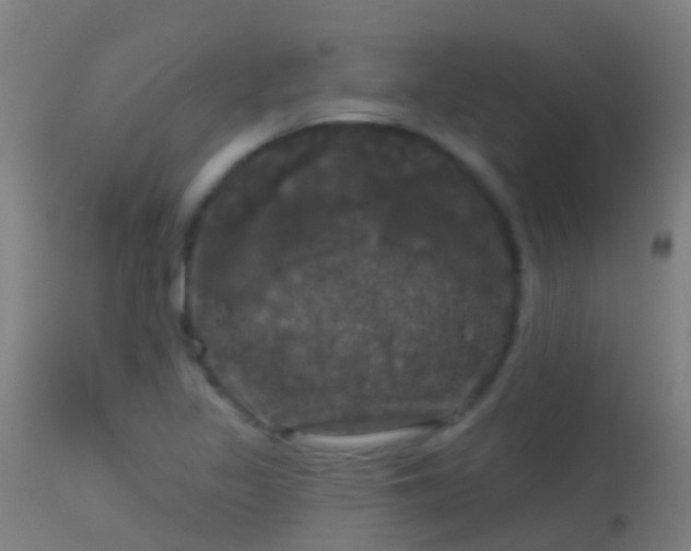 X0000114181317200910151651