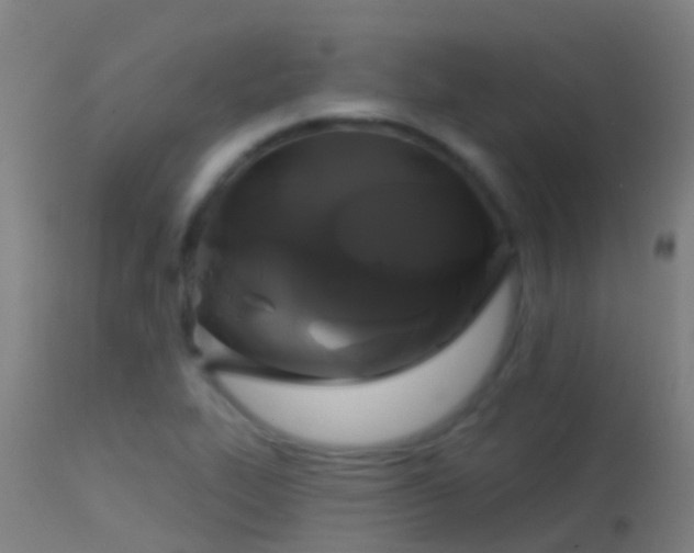 X0000114181319200910151651