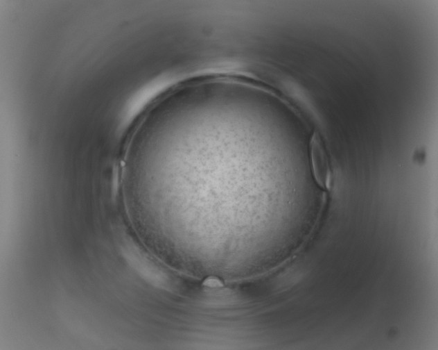 X0000114181320200910151651