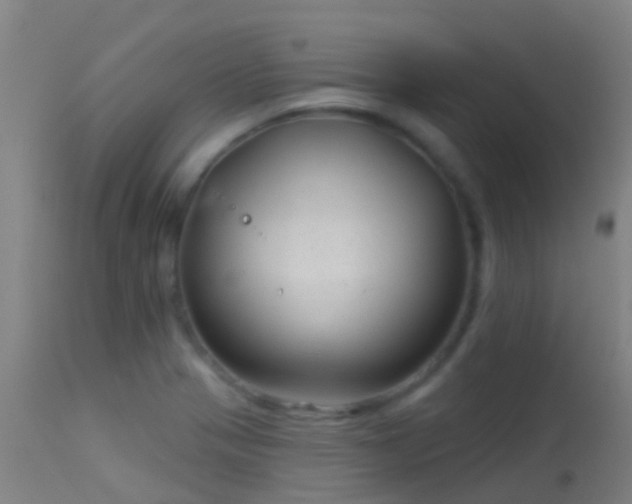 X0000114181321200910151651