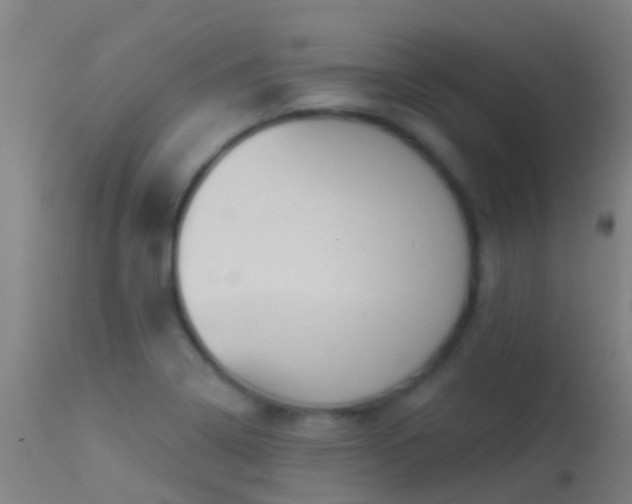 X0000114181322200910151651